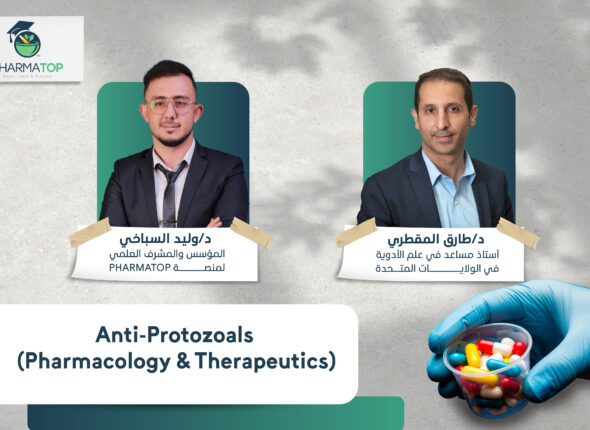 كورسات الموقع-12